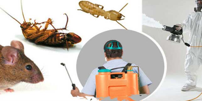 8 Qualities to Look for in a Good Pest Control Company - ePRNews